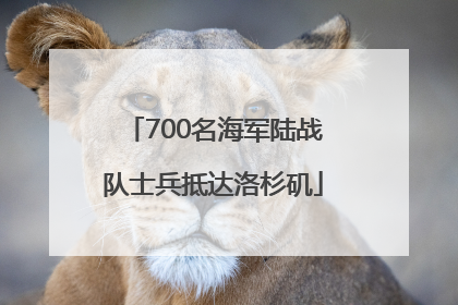 700名海军陆战队士兵抵达洛杉矶