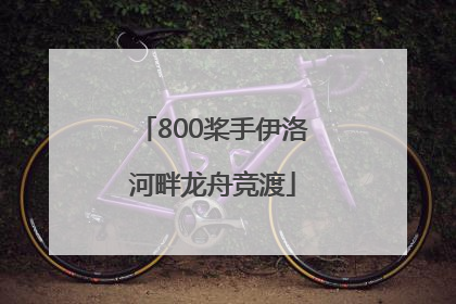 800桨手伊洛河畔龙舟竞渡