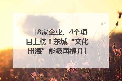 8家企业、4个项目上榜！东城“文化出海”能级再提升