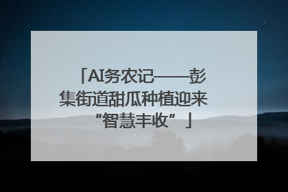 AI务农记——彭集街道甜瓜种植迎来“智慧丰收”