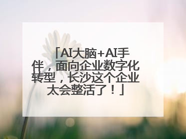 AI大脑+AI手伴，面向企业数字化转型，长沙这个企业太会整活了！