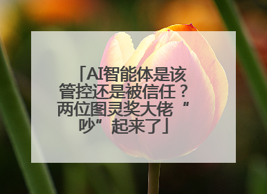 AI智能体是该管控还是被信任？两位图灵奖大佬“吵”起来了