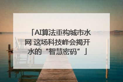 AI算法重构城市水网 这场科技峰会揭开水的“智慧密码”