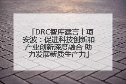 DRC智库建言丨项安波：促进科技创新和产业创新深度融合 助力发展新质生产力