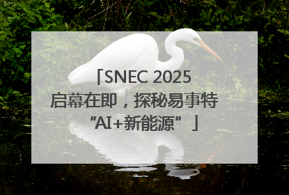 SNEC 2025启幕在即，探秘易事特“AI+新能源”