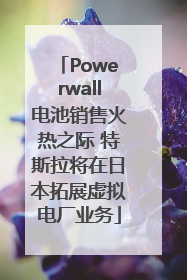 Powerwall电池销售火热之际 特斯拉将在日本拓展虚拟电厂业务